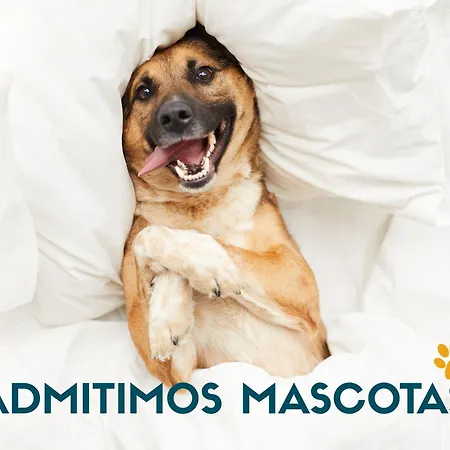 Apartamentos Catedral Plaza 3000-2